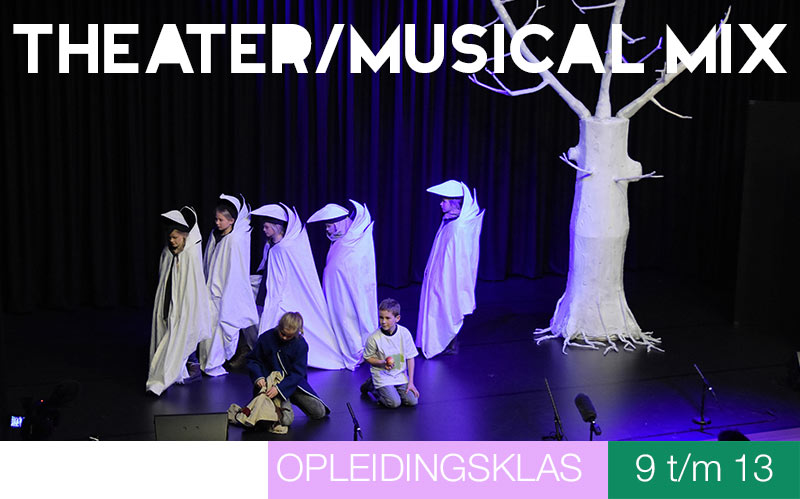 Opleidingsklas THEATER/MUSICAL MIX - 9 t/m 13 jaar - Jeugdtheaterschool Zwolle